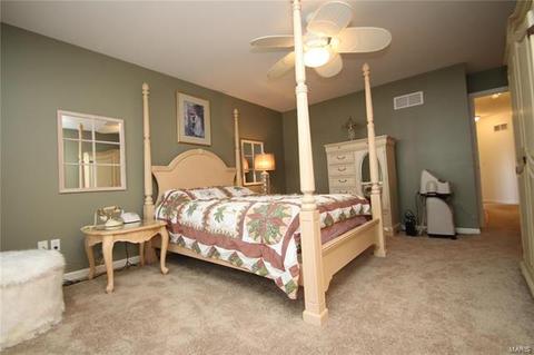 206 Chestnut Hill Dr, O'fallon, MO 63368 photo 20