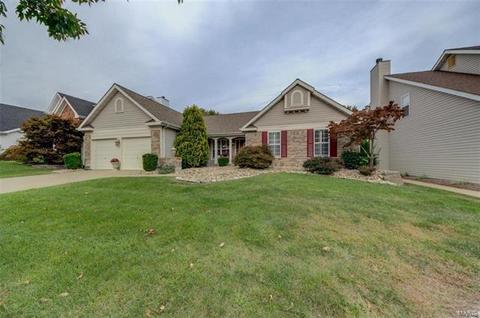 206 Chestnut Hill Dr, O'fallon, MO 63368 photo 38