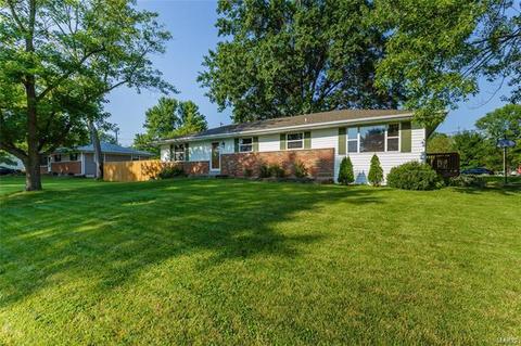 1205 Cypress Dr, O'fallon, MO 63366 photo 37