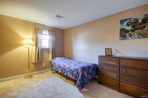 739 Genteman Dr, O'fallon, MO 63366 photo 28