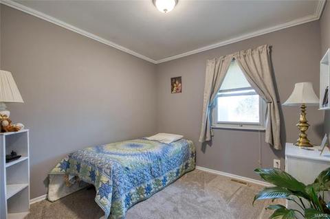 739 Genteman Dr, O'fallon, MO 63366 photo 17