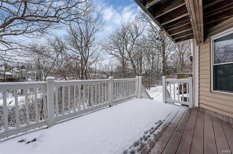 176 Cascade Circle Dr, Ballwin, MO 63021 photo 27
