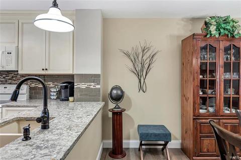 176 Cascade Circle Dr, Ballwin, MO 63021 photo 20