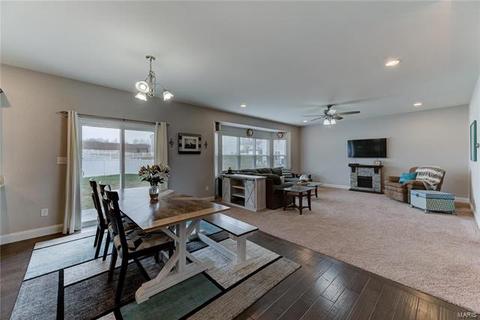 225 Thorn Brook Dr, O'fallon, MO 63366 photo 4