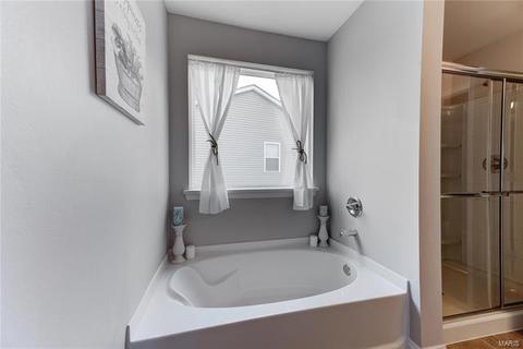 225 Thorn Brook Dr, O'fallon, MO 63366 photo 19