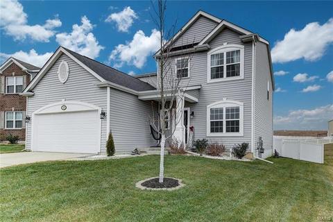 225 Thorn Brook Dr, O'fallon, MO 63366 photo 29
