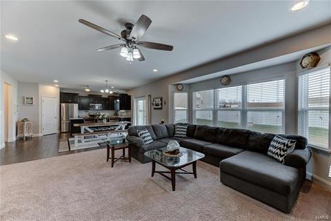 225 Thorn Brook Dr, O'fallon, MO 63366 photo 15