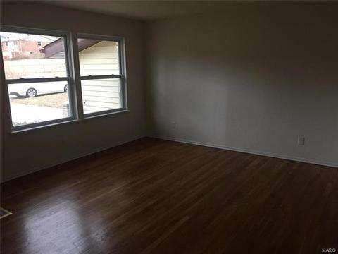 11162 Ebert, Saint Louis, MO 63136 photo 7