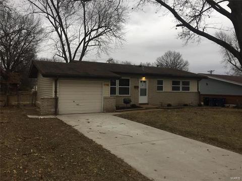 11162 Ebert, Saint Louis, MO 63136 photo 2