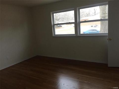 11162 Ebert, Saint Louis, MO 63136 photo 11