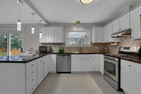 510 Connie Ln, Manchester, MO 63021 photo 9