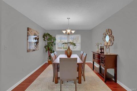 510 Connie Ln, Manchester, MO 63021 photo 8