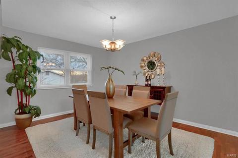 510 Connie Ln, Manchester, MO 63021 photo 7