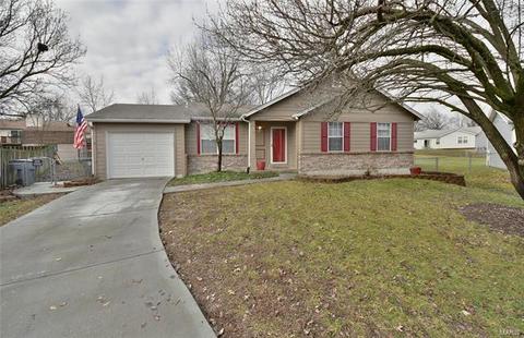 15 Saddleback Ct, O'fallon, MO 63368 photo 43
