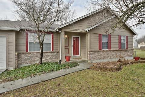 15 Saddleback Ct, O'fallon, MO 63368 photo 42