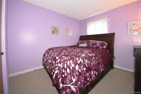 15 Saddleback Ct, O'fallon, MO 63368 photo 20