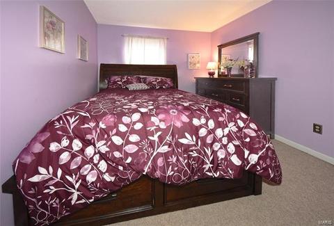15 Saddleback Ct, O'fallon, MO 63368 photo 21