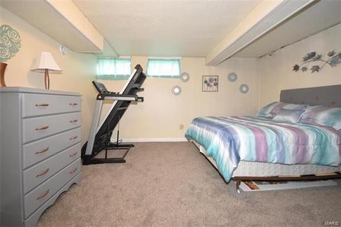 15 Saddleback Ct, O'fallon, MO 63368 photo 28