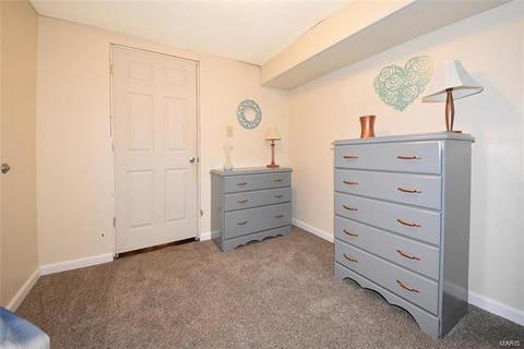 15 Saddleback Ct, O'fallon, MO 63368 photo 30