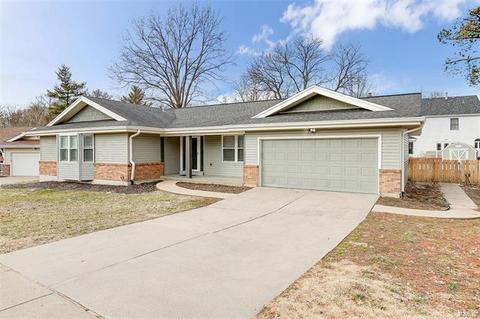 1319 Weidmann Estates Ct, Ballwin, MO 63011 photo 36