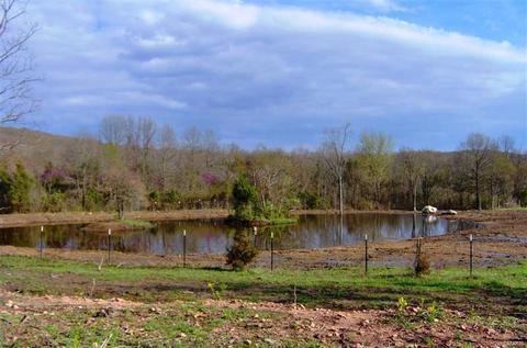 384 Lucky Ln, Middlebrook, MO 63656 photo 41