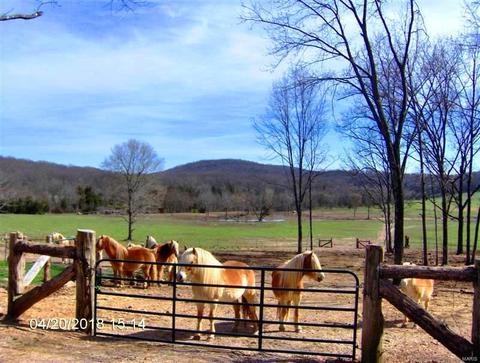 384 Lucky Ln, Middlebrook, MO 63656 photo 29