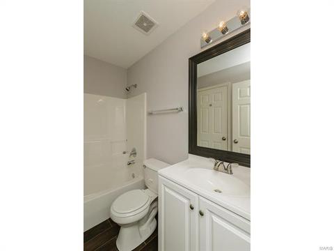 20 Timber Oaks Trl, O'fallon, MO 63368 photo 4