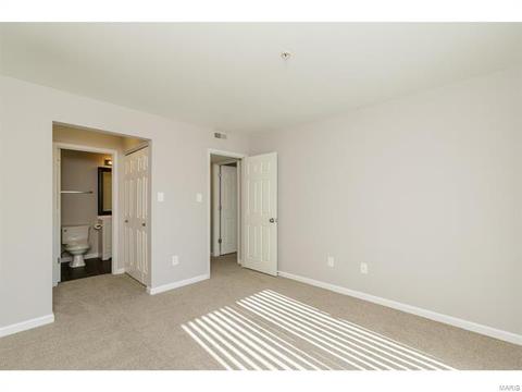 20 Timber Oaks Trl, O'fallon, MO 63368 photo 16