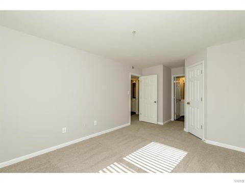 20 Timber Oaks Trl, O'fallon, MO 63368 photo 21
