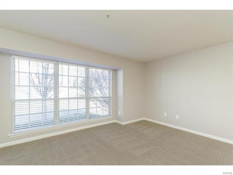 20 Timber Oaks Trl, O'fallon, MO 63368 photo 5