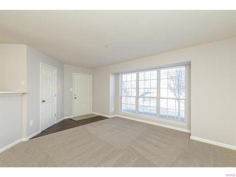 20 Timber Oaks Trl, O'fallon, MO 63368 photo 7