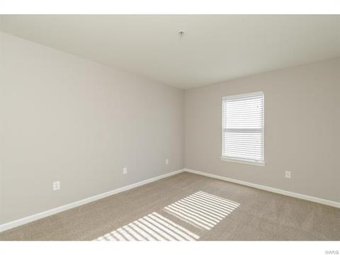 20 Timber Oaks Trl, O'fallon, MO 63368 photo 19