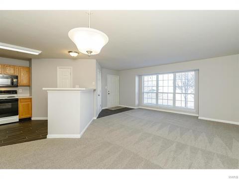 20 Timber Oaks Trl, O'fallon, MO 63368 photo 2