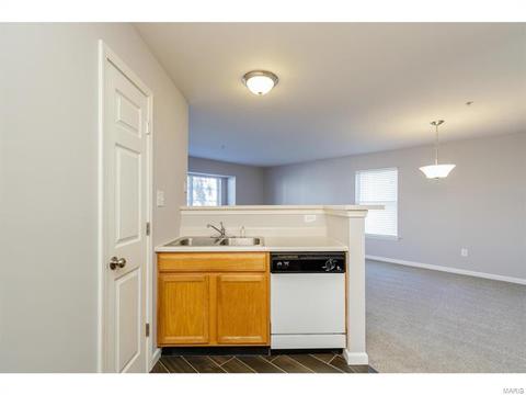 20 Timber Oaks Trl, O'fallon, MO 63368 photo 12