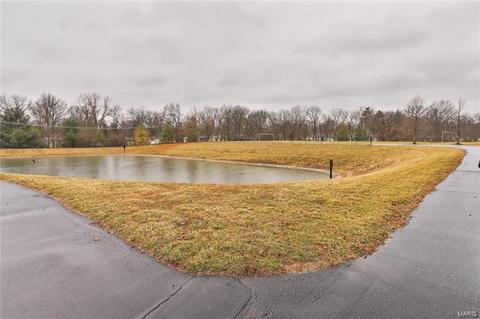 237 Coachgate Ln, Ballwin, MO 63021 photo 23