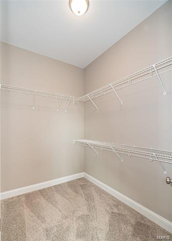 2 Forst Manor Ct, O'fallon, MO 63368 photo 22