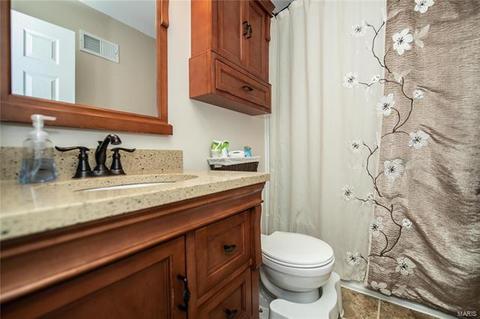 699 Walnut Point Ct, Ballwin, MO 63021 photo 16