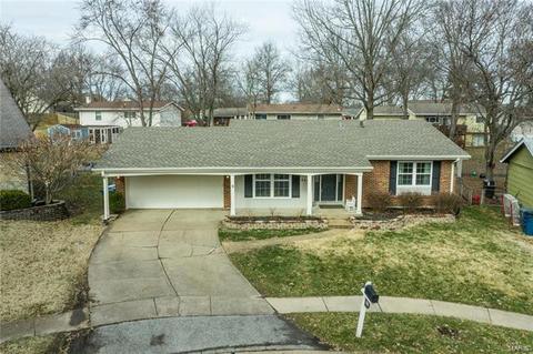 699 Walnut Point Ct, Ballwin, MO 63021 photo 23