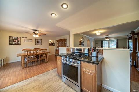 699 Walnut Point Ct, Ballwin, MO 63021 photo 6