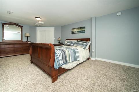 699 Walnut Point Ct, Ballwin, MO 63021 photo 19