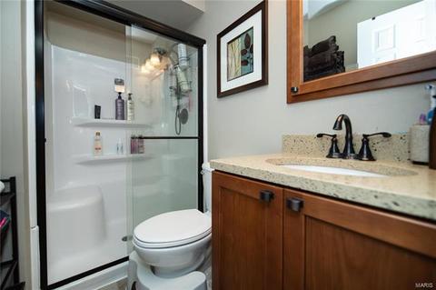 699 Walnut Point Ct, Ballwin, MO 63021 photo 11