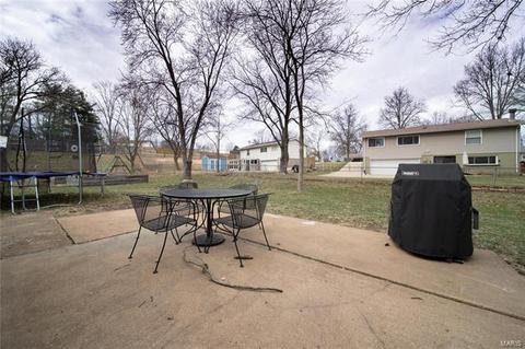 699 Walnut Point Ct, Ballwin, MO 63021 photo 22