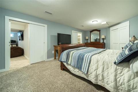 699 Walnut Point Ct, Ballwin, MO 63021 photo 20