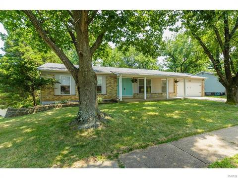 256 Braeshire Dr, Ballwin, MO 63021 photo 27