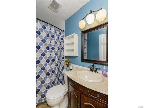 256 Braeshire Dr, Ballwin, MO 63021 photo 12