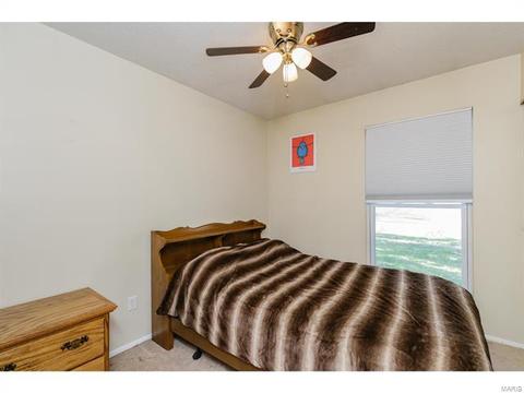 256 Braeshire Dr, Ballwin, MO 63021 photo 15