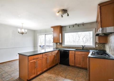 3 Hollyridge Ct, Ballwin, MO 63011 photo 9