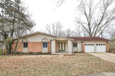 3 Hollyridge Ct, Ballwin, MO 63011 photo 1
