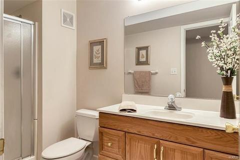 161 Grange Hill Ln, Weldon Spring, MO 63304 photo 35