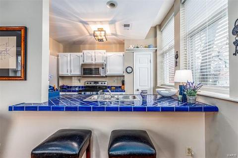 529 Colebrook Dr #E, Saint Louis, MO 63119 photo 14